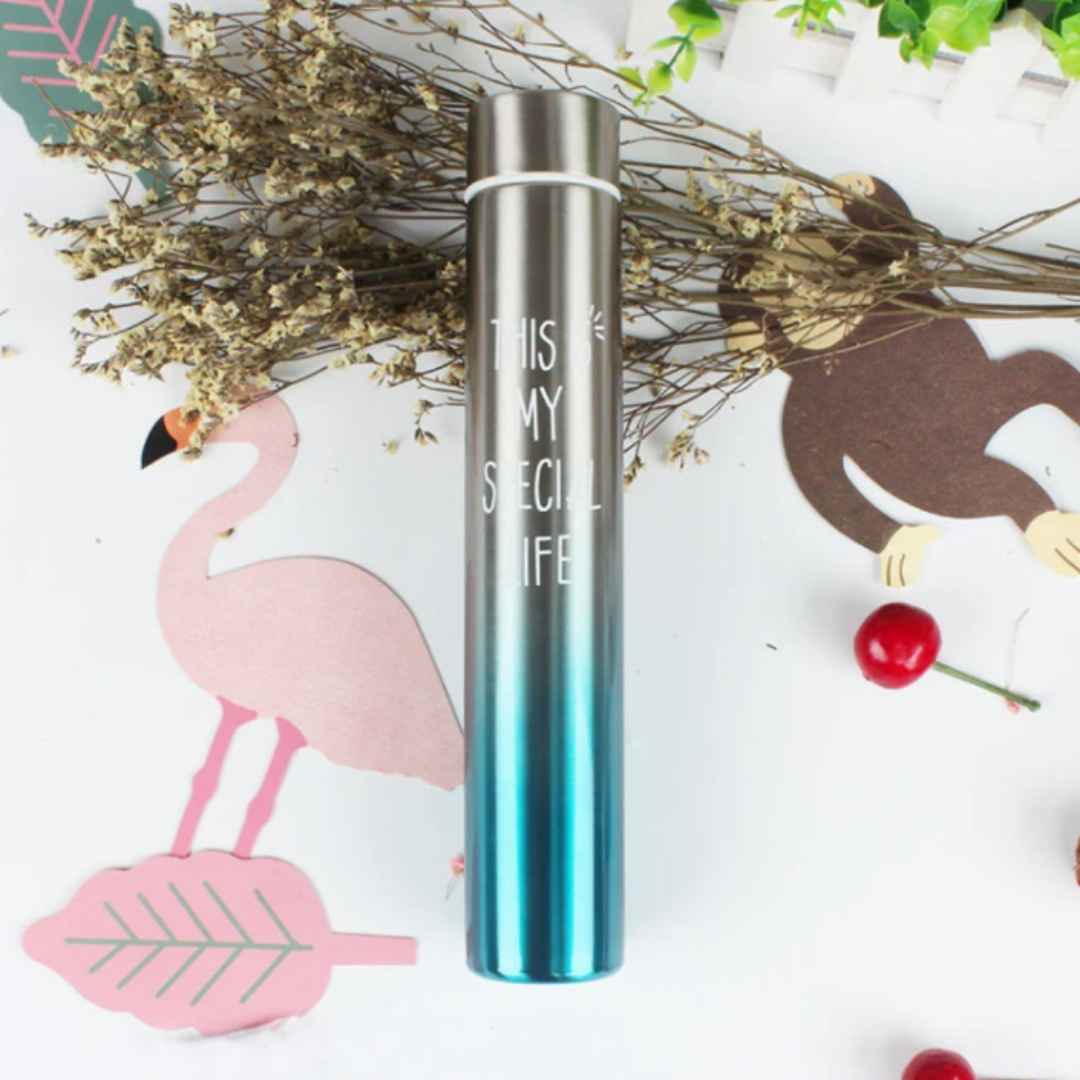 Stylish Stainless Insulated Drinking Bottle