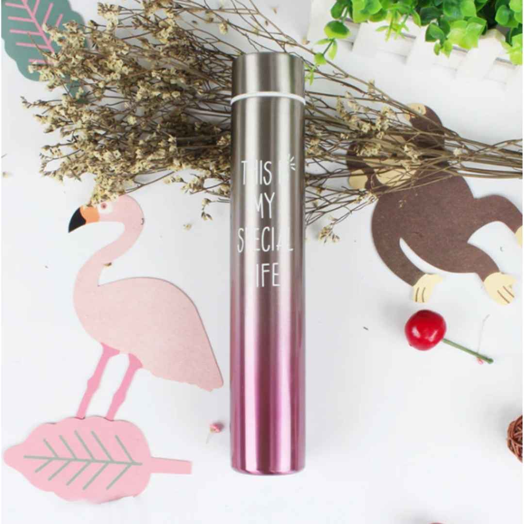 Stylish Stainless Insulated Drinking Bottle