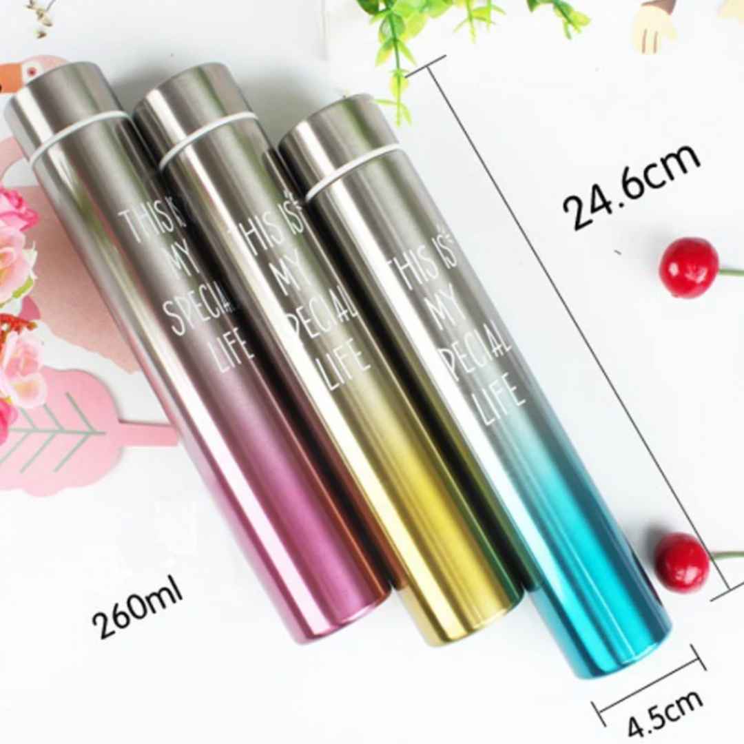 Stylish Stainless Insulated Drinking Bottle